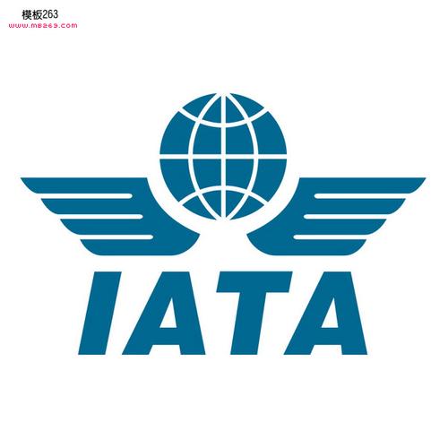 航空机票销售代理人资质代办 上海棋硕商务咨询的专业服务解读