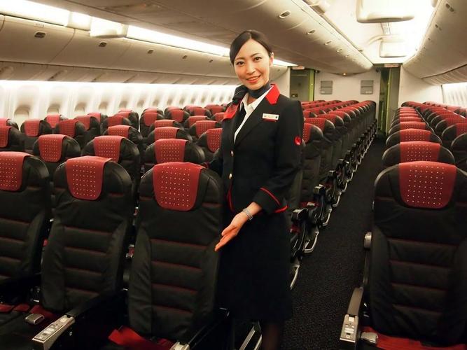 迫使日航停止销售当天出发的国内和国际航日本航空日本航班标志模式